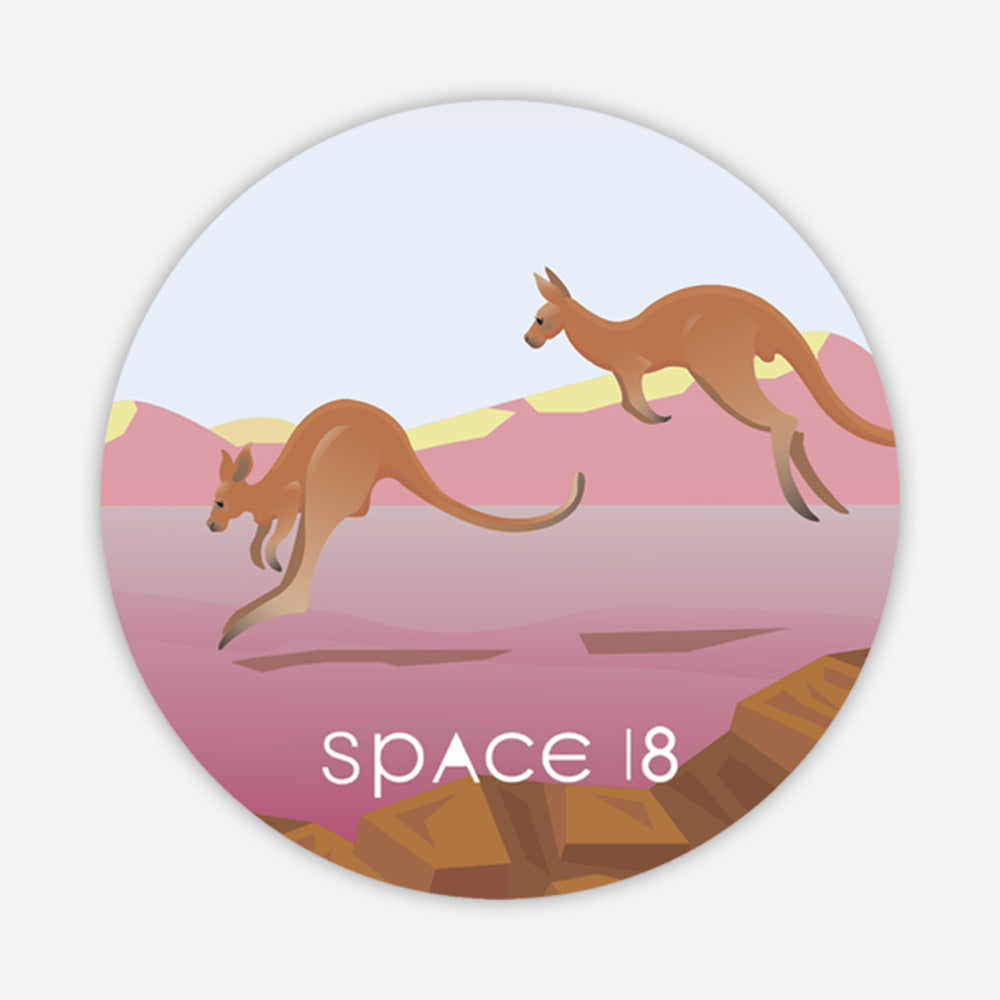 Australian Animals Coasters (set of 4) - Space 18 Australia